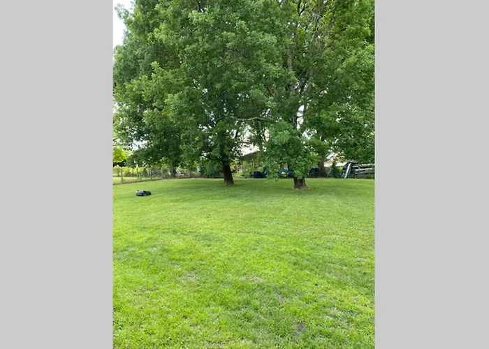 Alba. Piscine Grand Jardin Hauts De Bordeaux